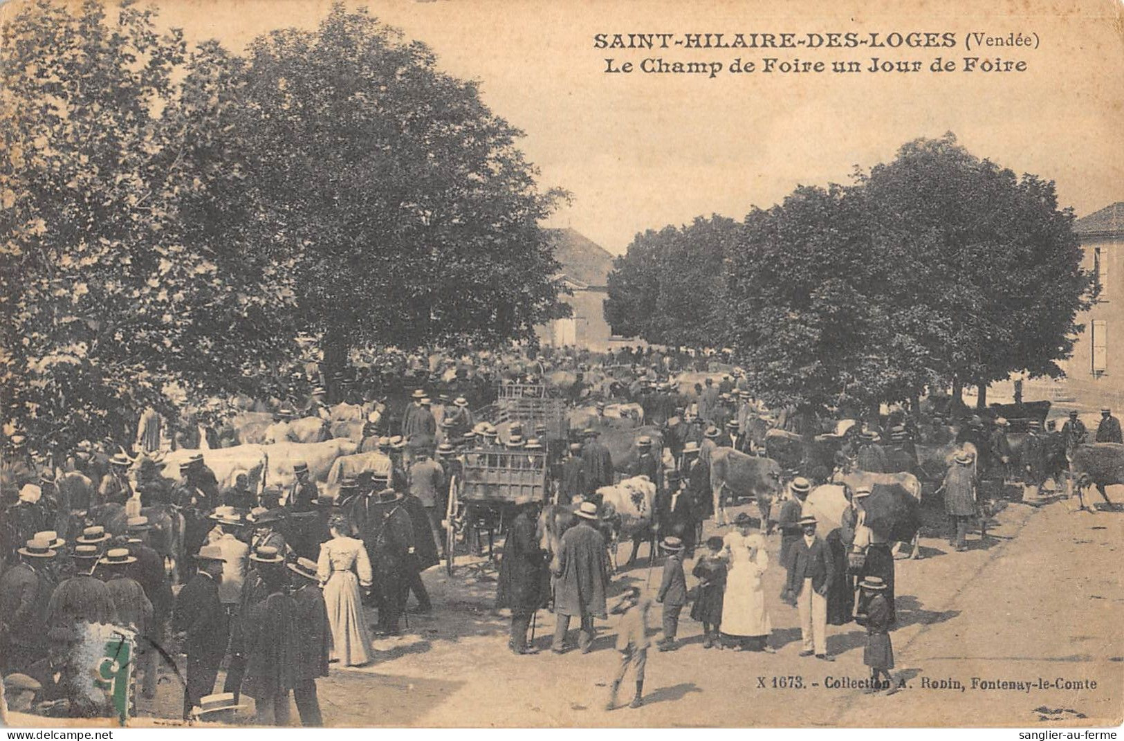 CPA 85 SAINT HILAIRE DES LOGES / LE CHAMP DE FOIRE UN JOUR DE FOIRE - Autres & Non Classés