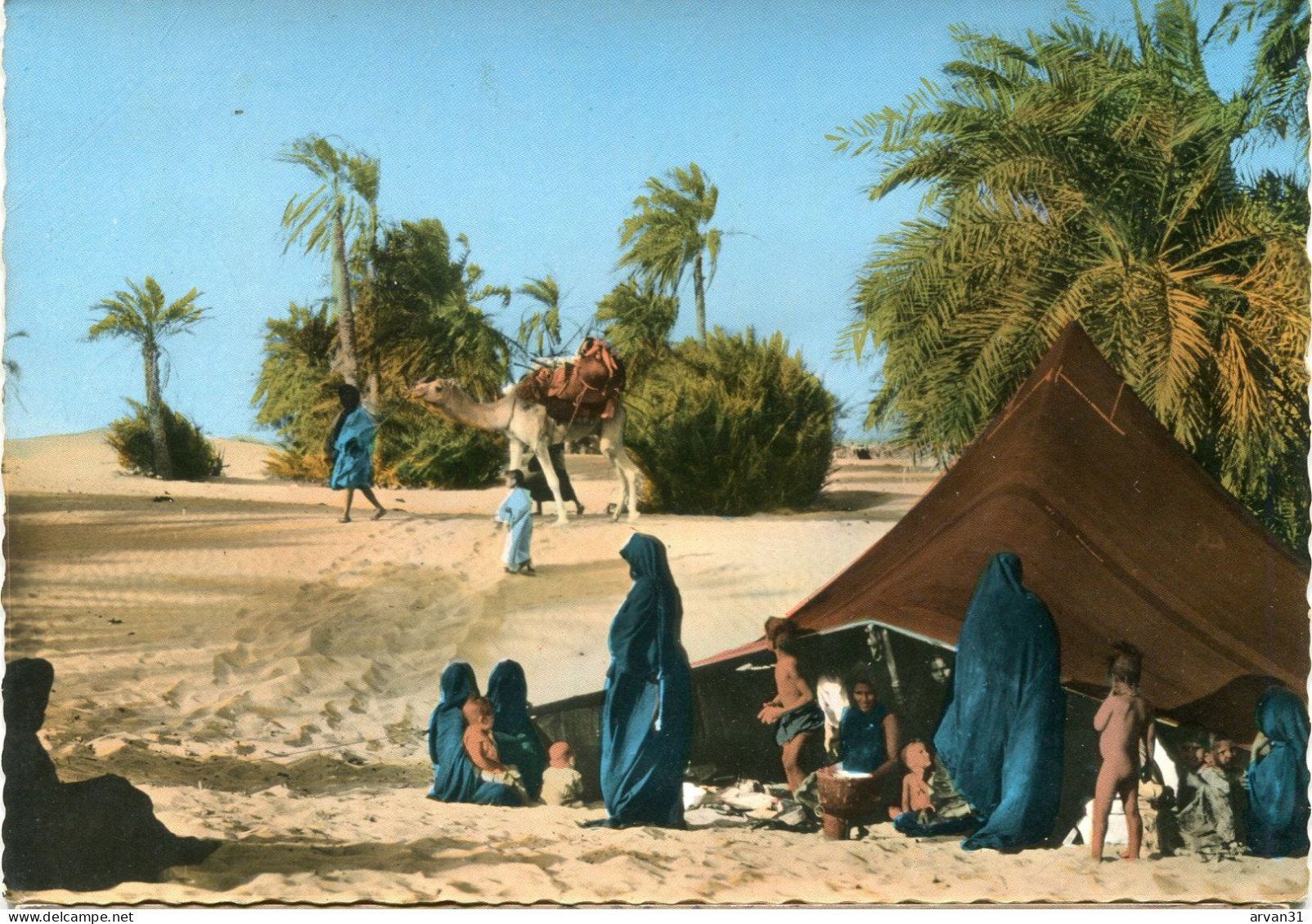 MAURITANIE - CAMPEMENT Dans L' OASIS - - Mauritania