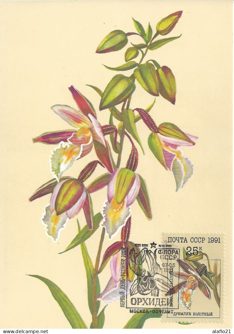 RUSSIE - 5 CARTES MAXIMUM 1er JOUR - ORCHIDEES - 2 SCANS - Maximumkaarten