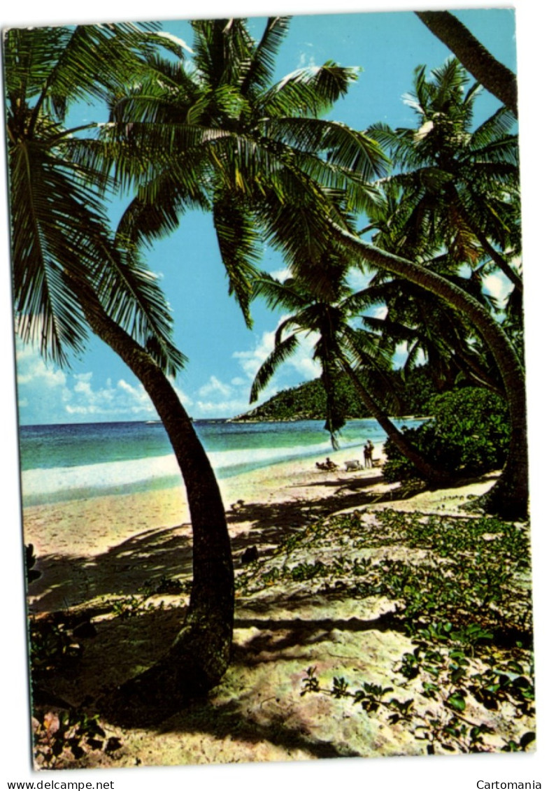 Anse Gaulette Mahe - Seychelles - Seychelles