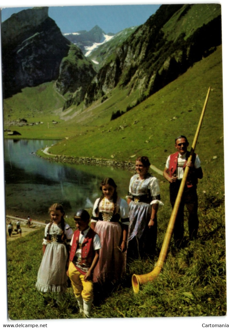 Seealpsee - Alphornbläser Mit Familie - Horn