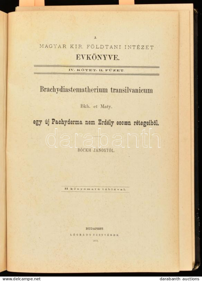 Kolligátum: A Magyar Kir. Földtani Intézet Évkönyve IV. Köt. 1-4. Füzetei (egy Kötetben): Hantken Miksa: A Clavulina Sza - Unclassified