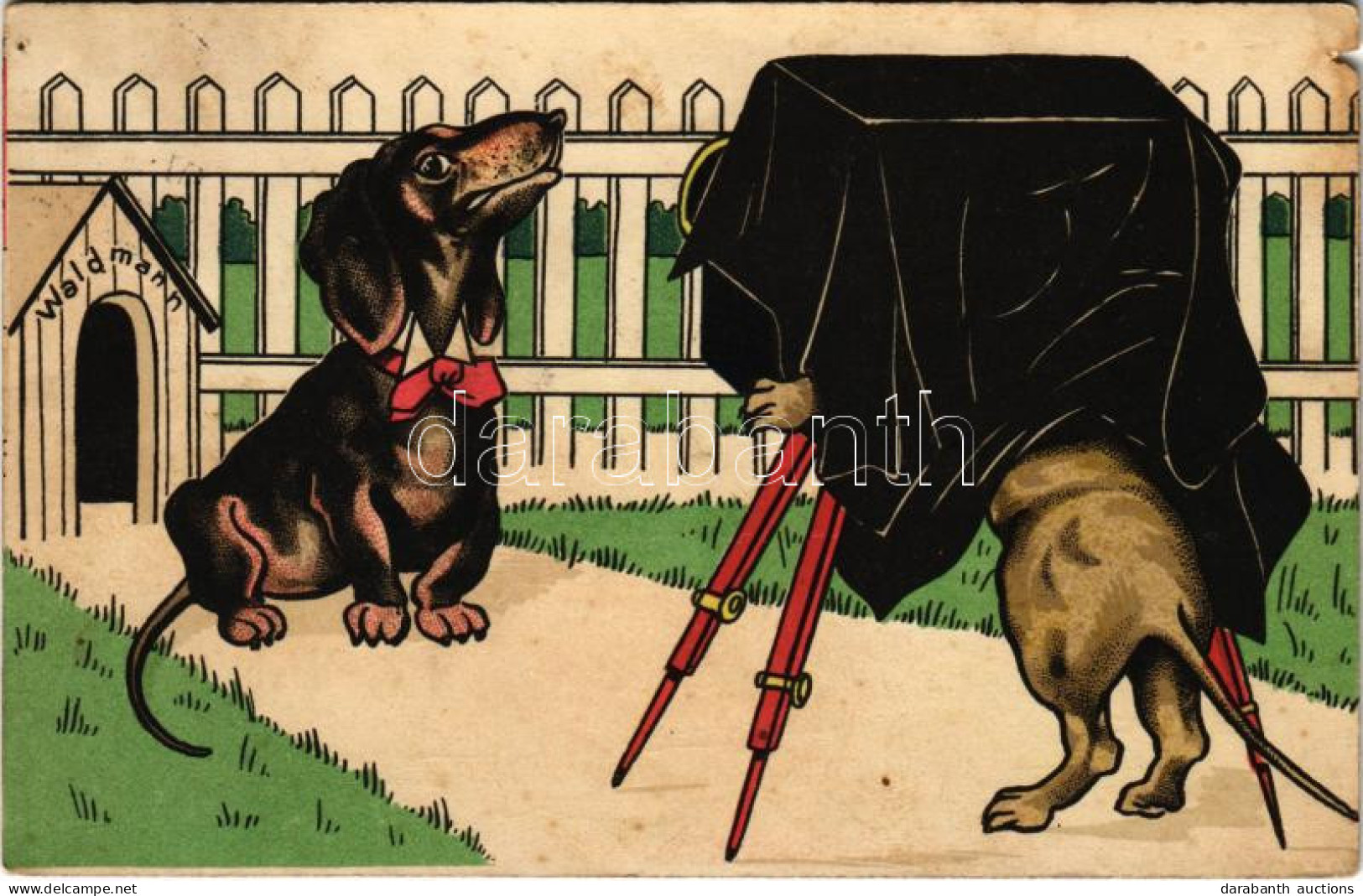 T4 1907 Dachshund Photographer, Dog Humour. Litho (lyuk / Pinhole) - Zonder Classificatie