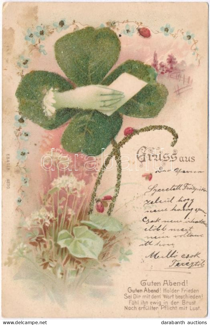 T2 Gruss Aus! Guten Abend / Good Night Greeting Art Postcard. Floral, Decorated Litho - Unclassified