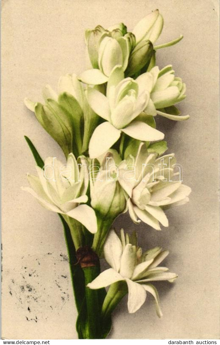 * T2/T3 Flowers, Martin Rommel & Co. No. 635 (EK) - Zonder Classificatie