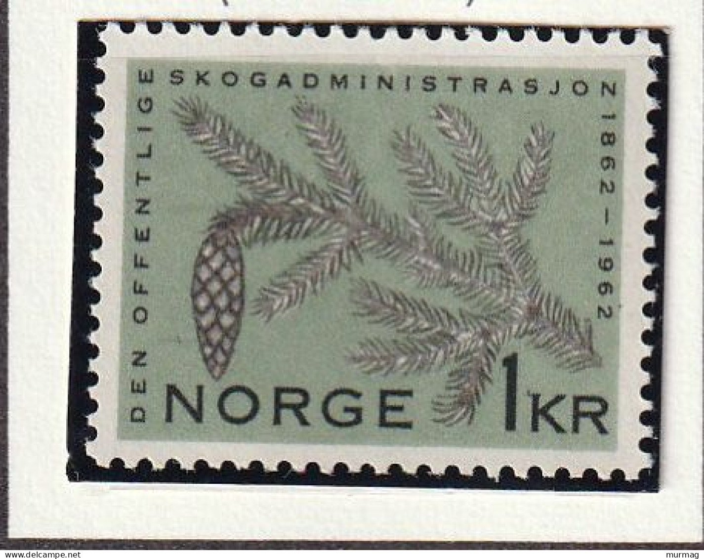 NORVEGE - Epicéq (abiétacées ) - Y&T N° 427 - 1962 - MH - Nuevos