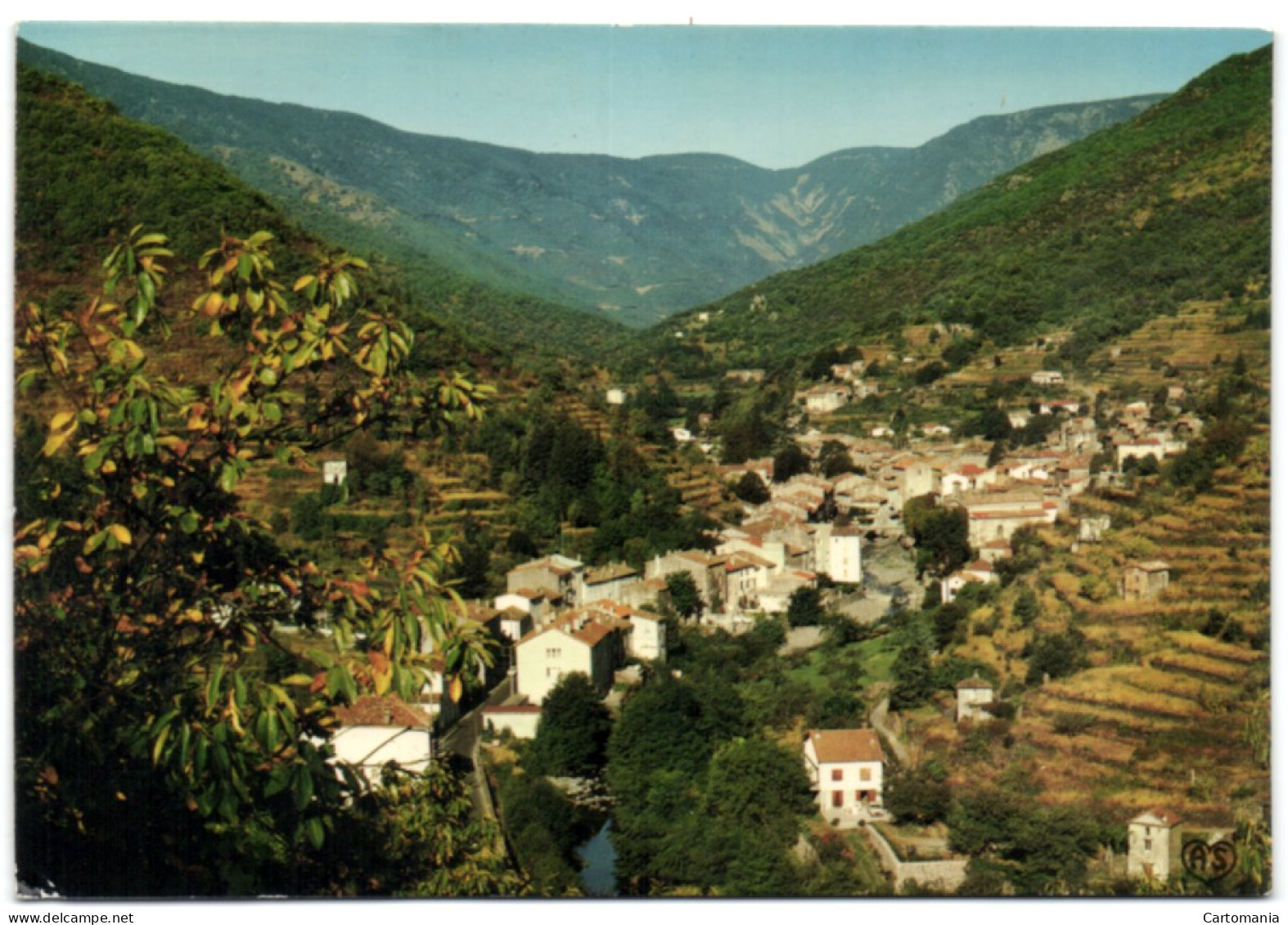 Valleraugue Mont Aigoual - Vue Générale - Valleraugue