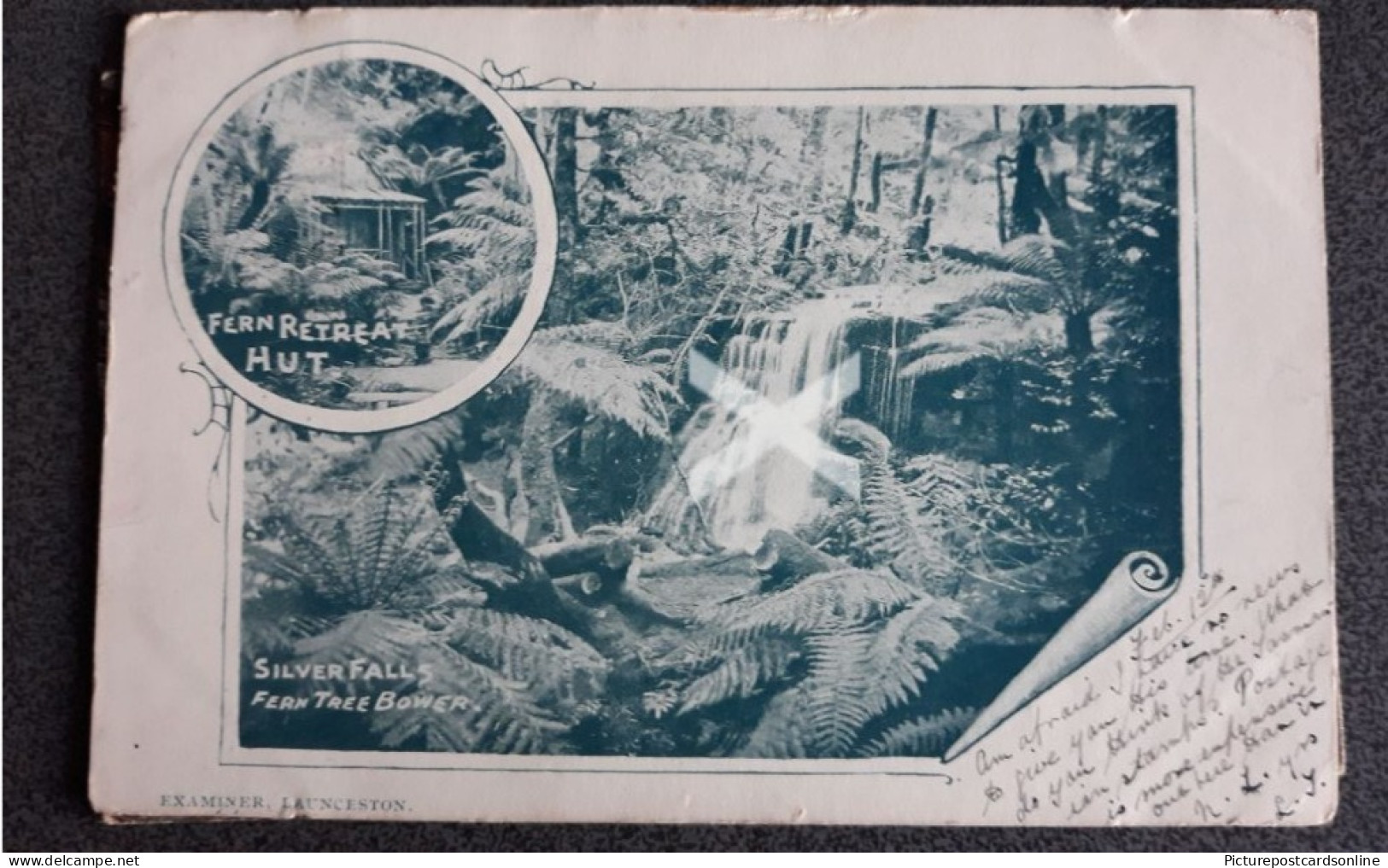 SILVER FALLS FERN TREE BOWER AND HUT OLD B/W POSTCARD TASMANIA AUSTRALIA 1904 - Andere & Zonder Classificatie