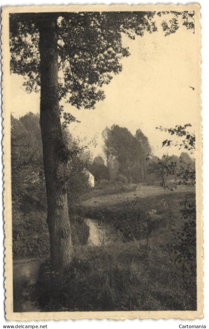 Gistoux - Vers Le Moulin - Chaumont-Gistoux