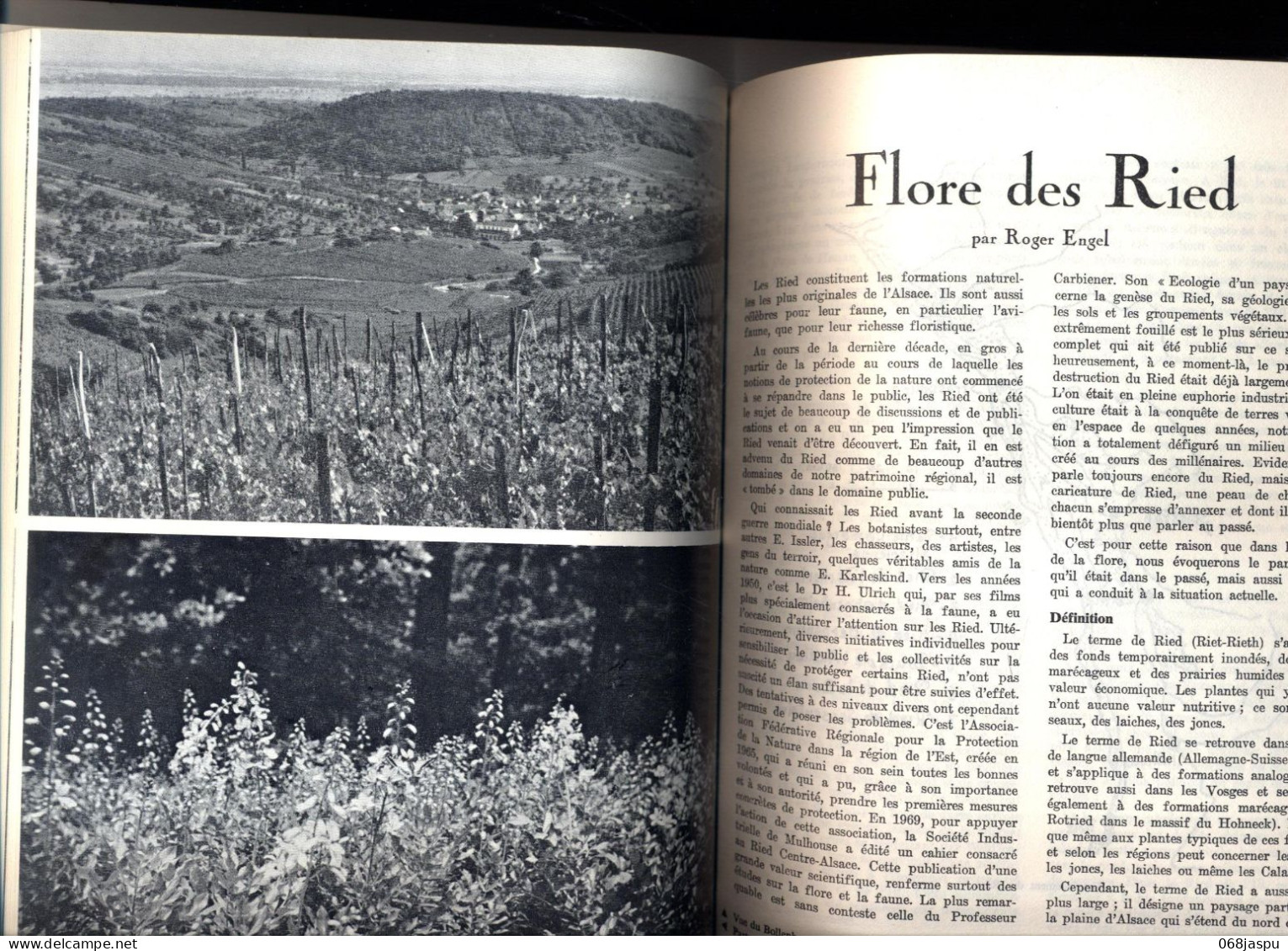 Revue Saison D'alsace  Numéro  61/62 Alsace Et Sa Végétation - Alsace