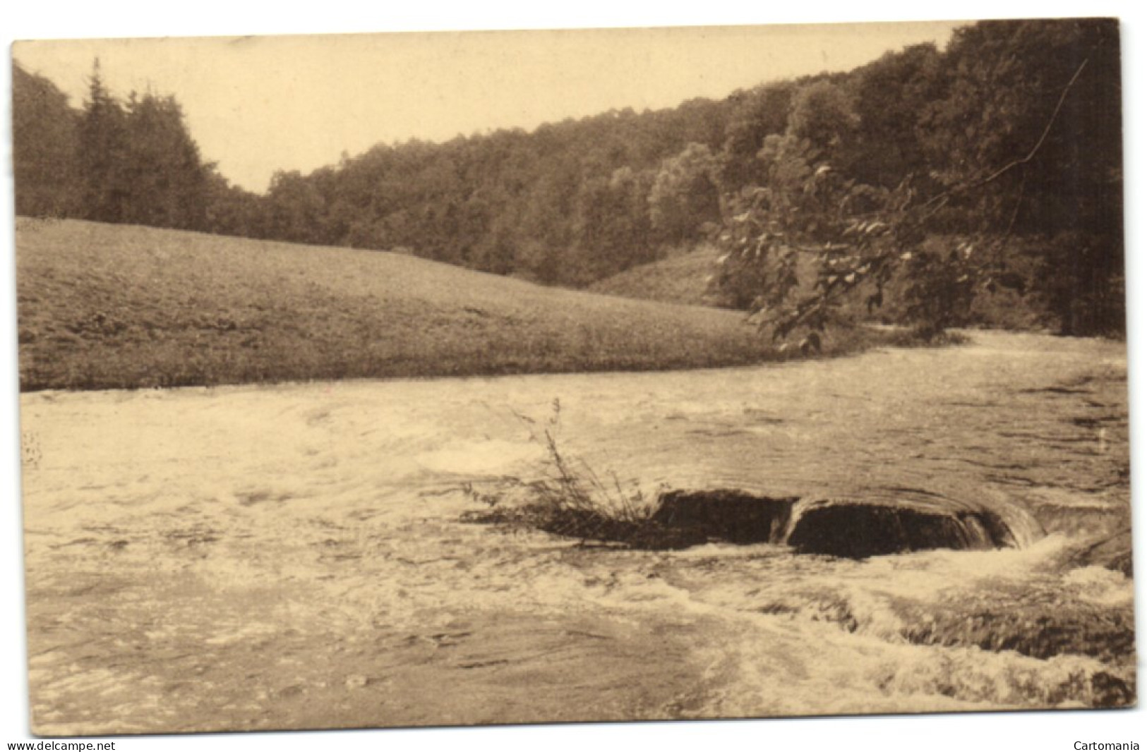 Daverdisse-sur-Lesse - Hôtel Du Moulin - Site Aux Environs De L'Hôtel - Daverdisse