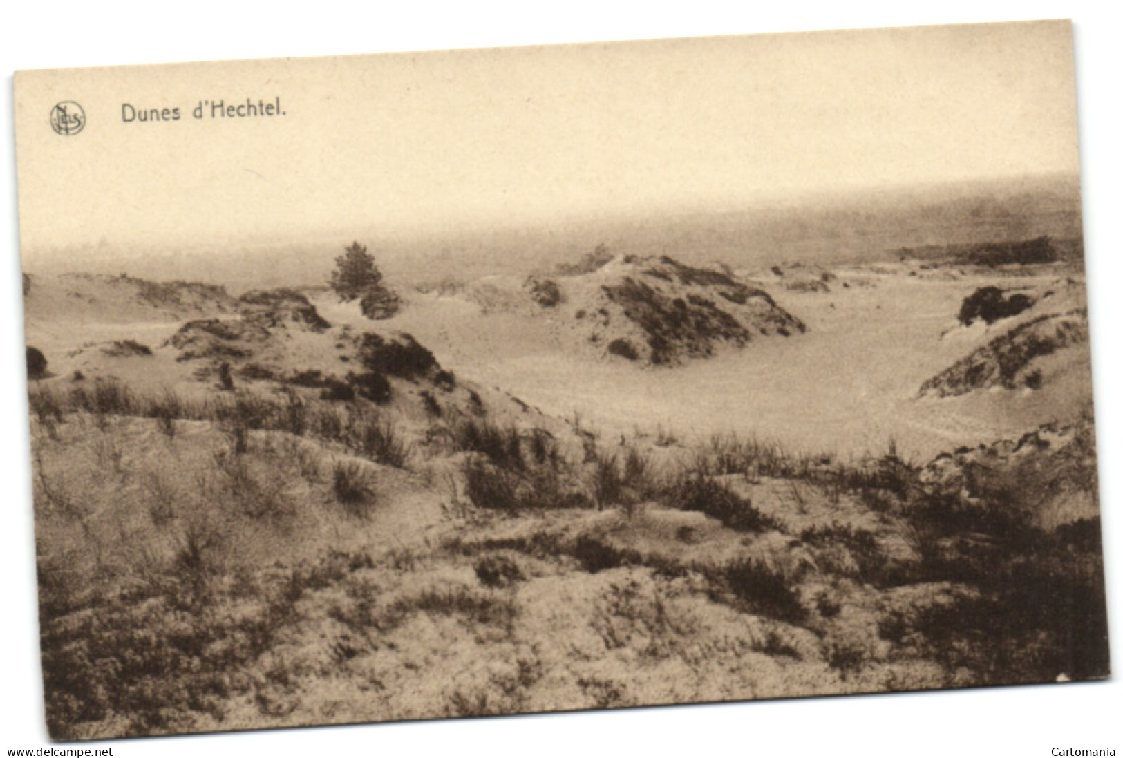 Dunes D'Hechtel - Hechtel-Eksel