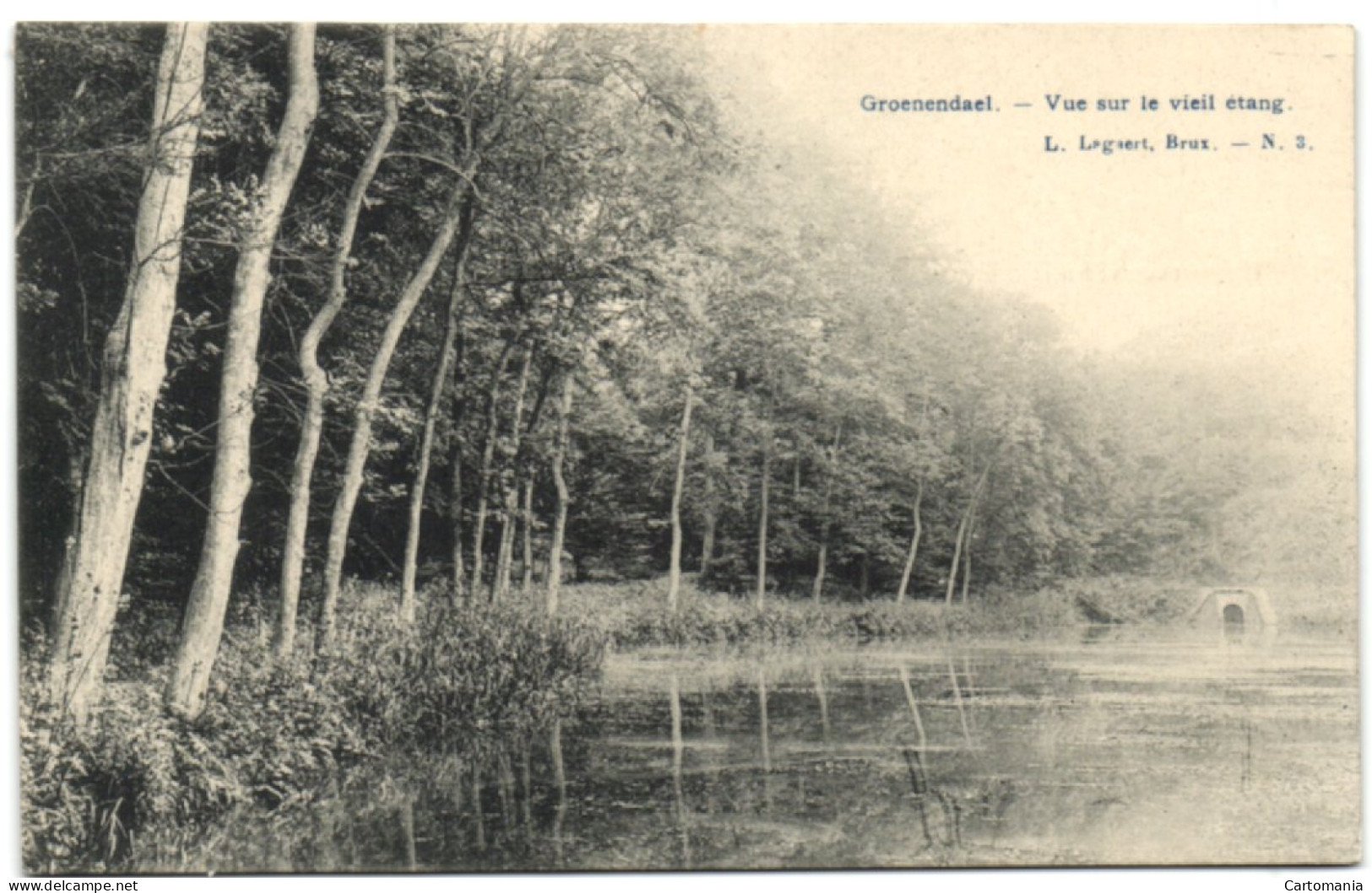 Groenendael - Vue Sur Le Vieil étang - Höilaart