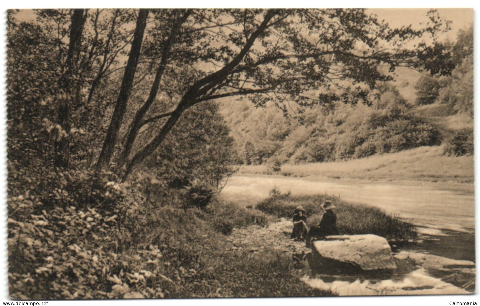 Ligue Des Amis De La Forêt De Soignes - L'Ourthe Au Pied De La Cresse Ste Marguerite - Oudergem - Auderghem