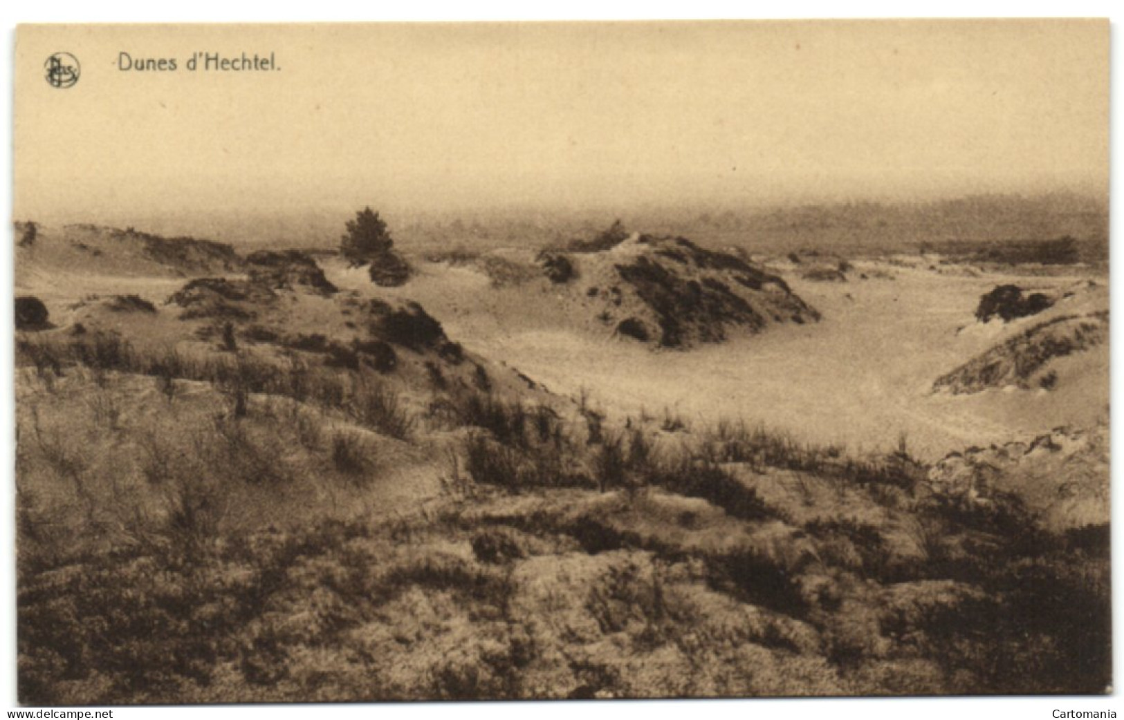 Dunes D'Hechtel - Hechtel-Eksel