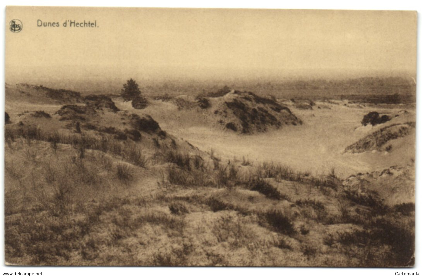 Dunes D'Hechtel - Hechtel-Eksel