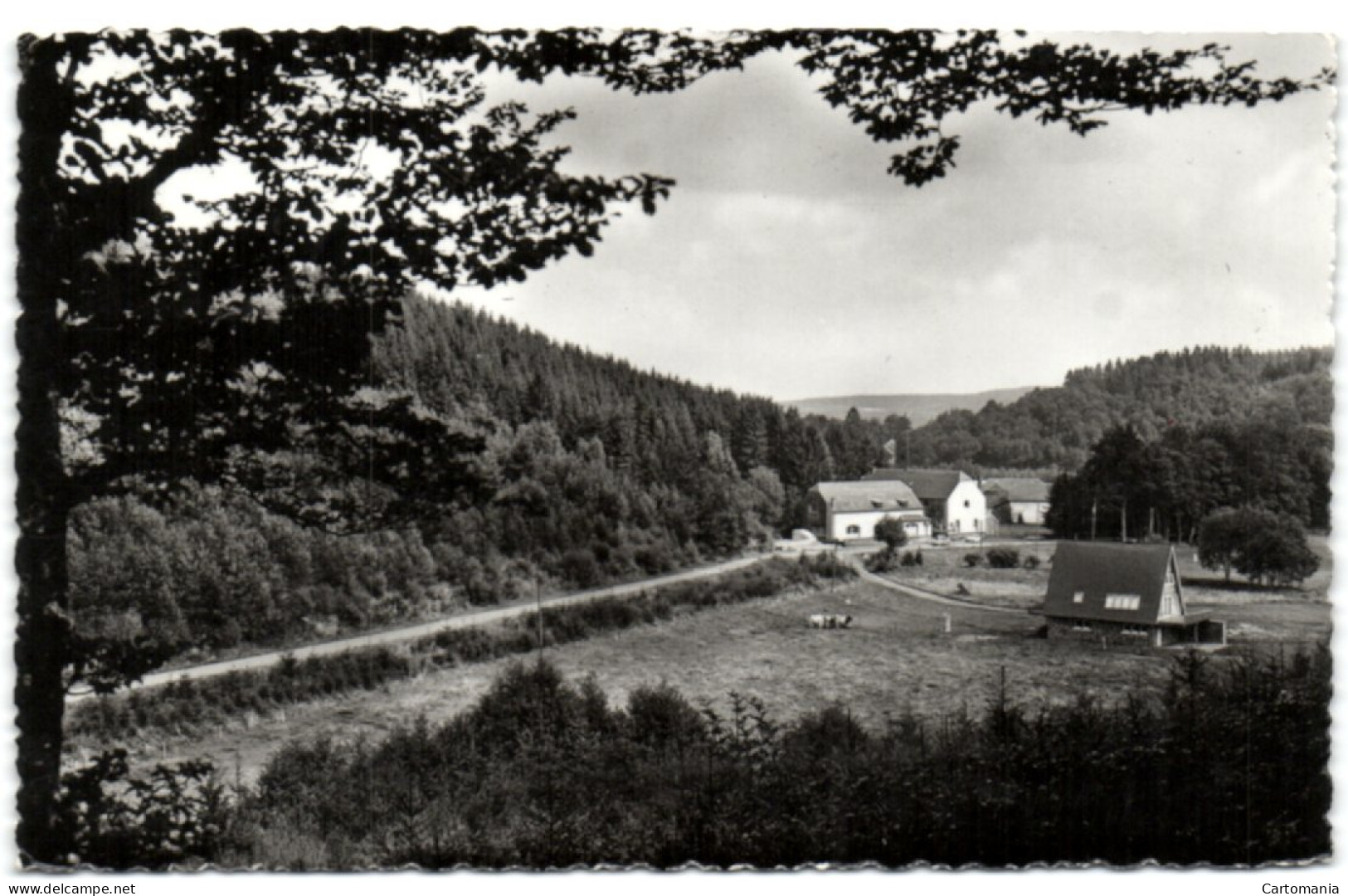 Baconfoy-Tenneville - La Masion De Vacances De Baseilles - Tenneville