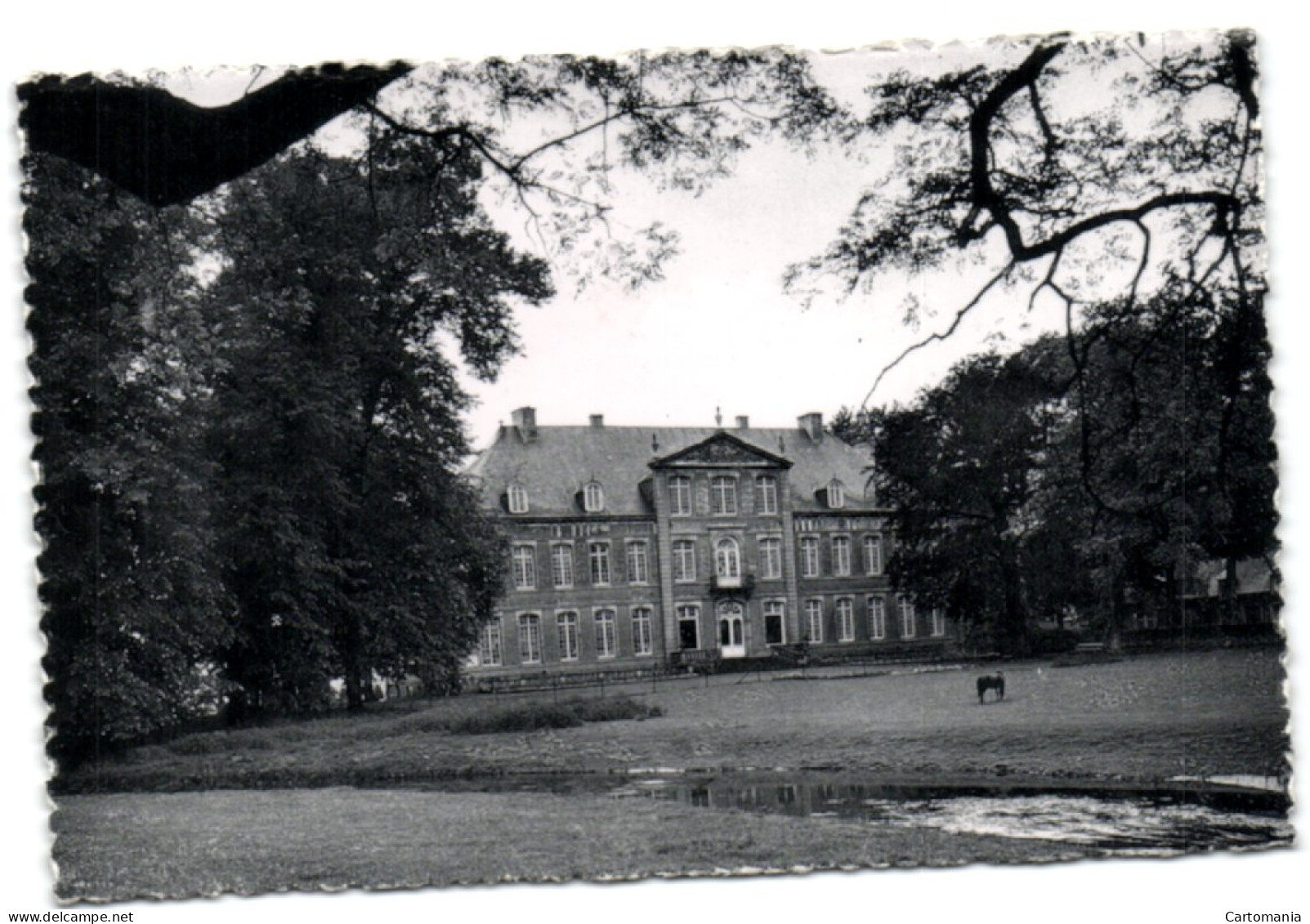 Château D'Attre - Façade Postérieure - Brugelette