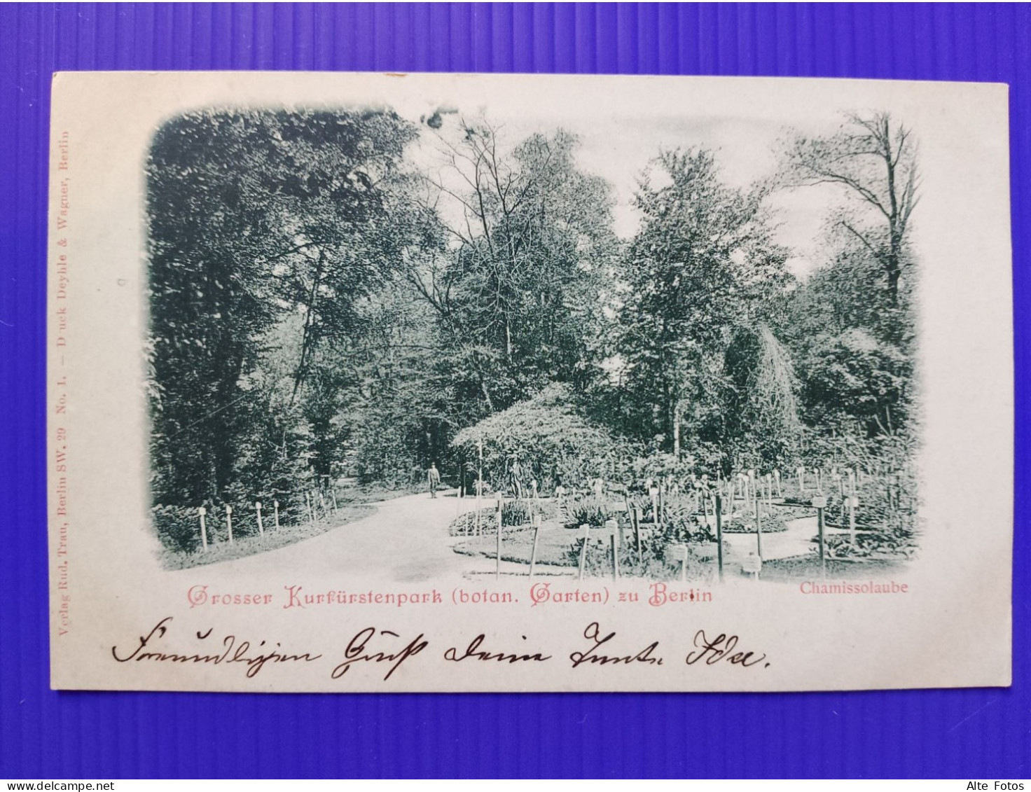 Alte AK Ansichtskarte Postkarte Berlin Lichterfelde Botanischer Garten Litho Deutsches Reich Allemagne Deutschland Alt - Lichterfelde