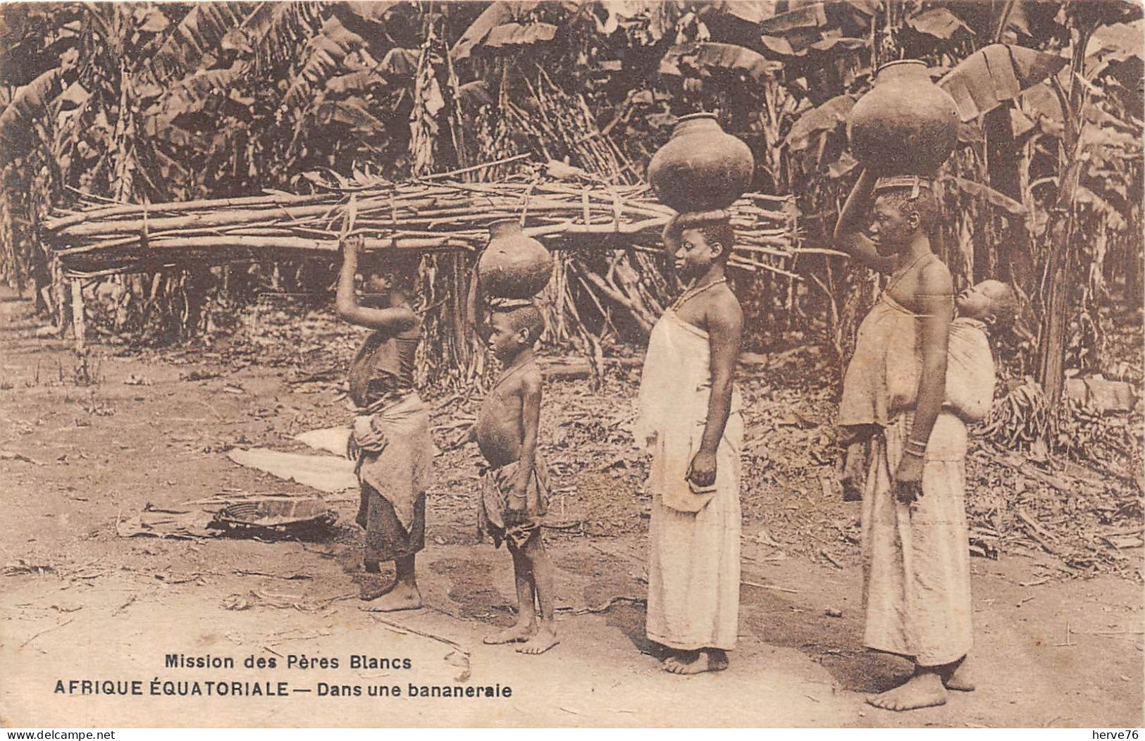 AFRIQUE - OUGANDA - Missions Des Pères Blancs - Dans Une Bananeraie - Ouganda