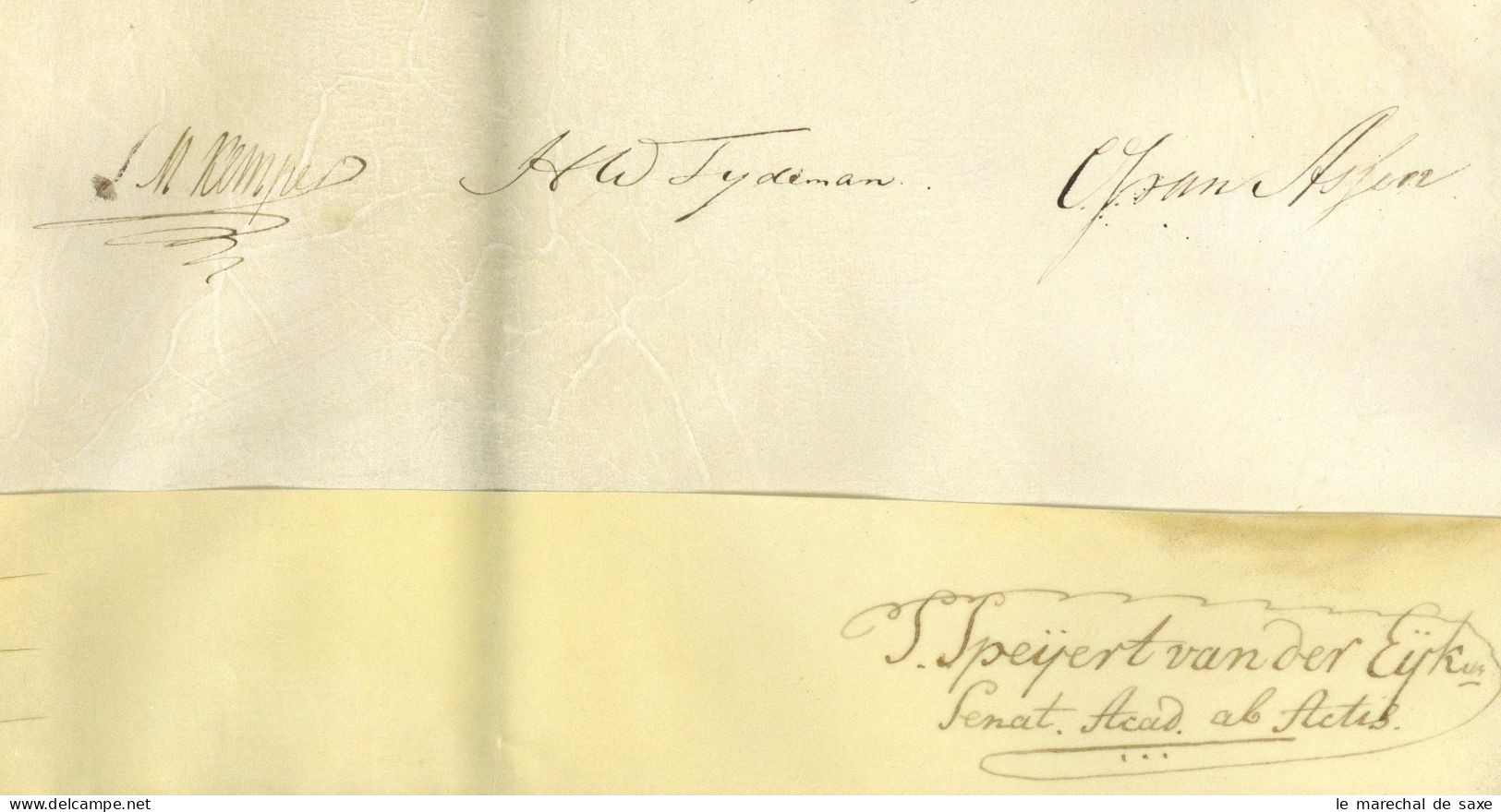 Universität Leiden 1823 Doktordiplom Jura Viele Autographen Siegenbeek Smallenburg Hageman Kemper Tydeman Assen Boddien - Inventeurs & Scientifiques