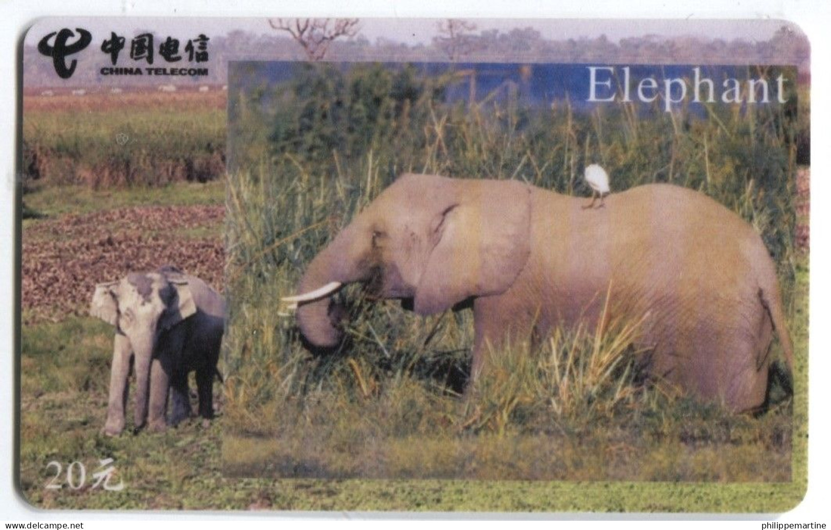 Télécarte China Telecom : Eléphants - Jungle