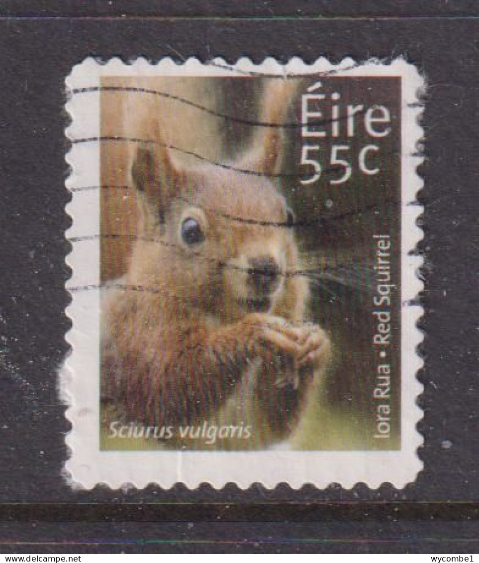 IRELAND  -  2011  Red Squirrel  55c  Self Adhesive  Used As Scan - Oblitérés