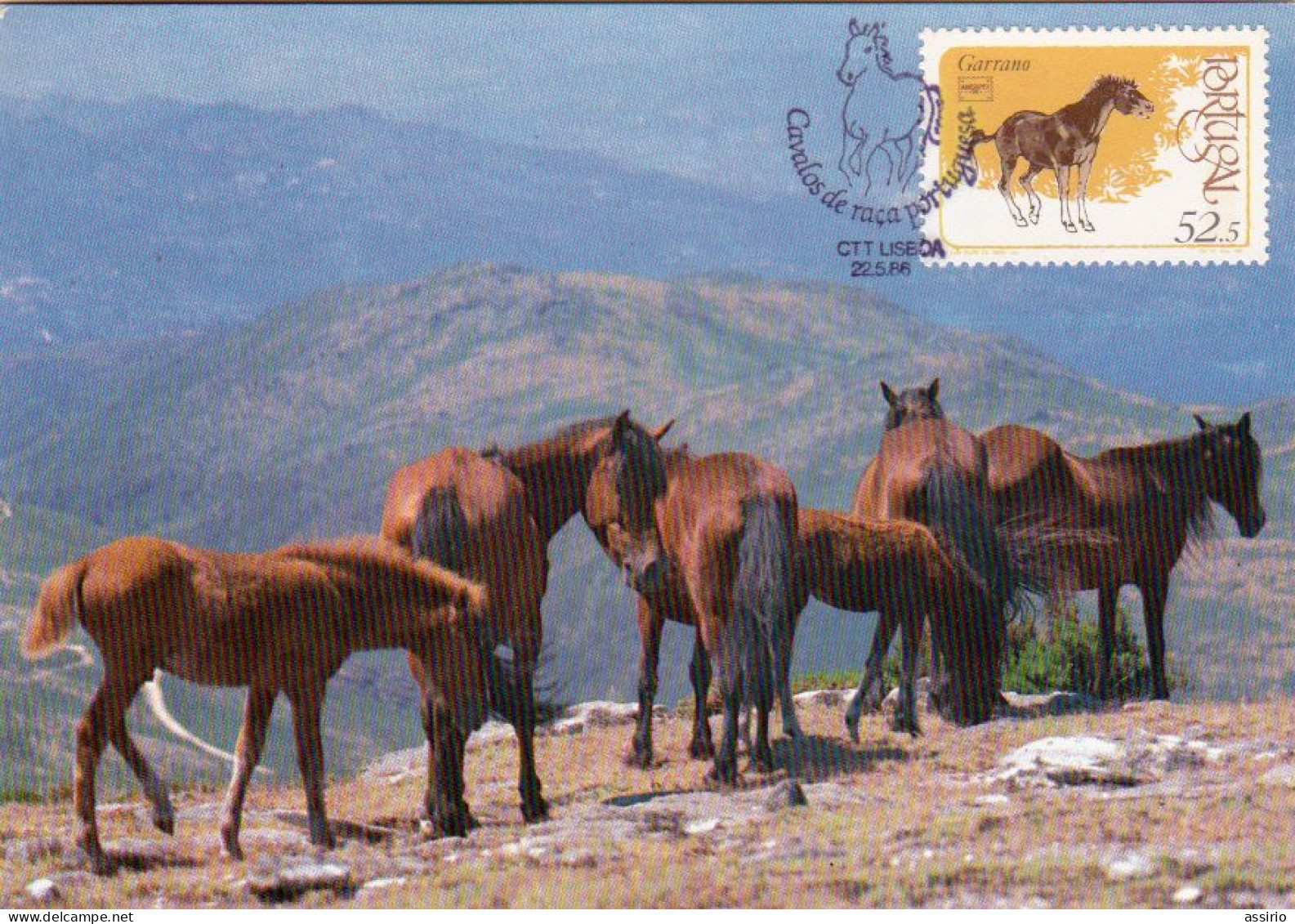 Portugal -5 Postais  Máximos  -Cavalos  De Raça Portuguesa    1986 - Postmark Collection