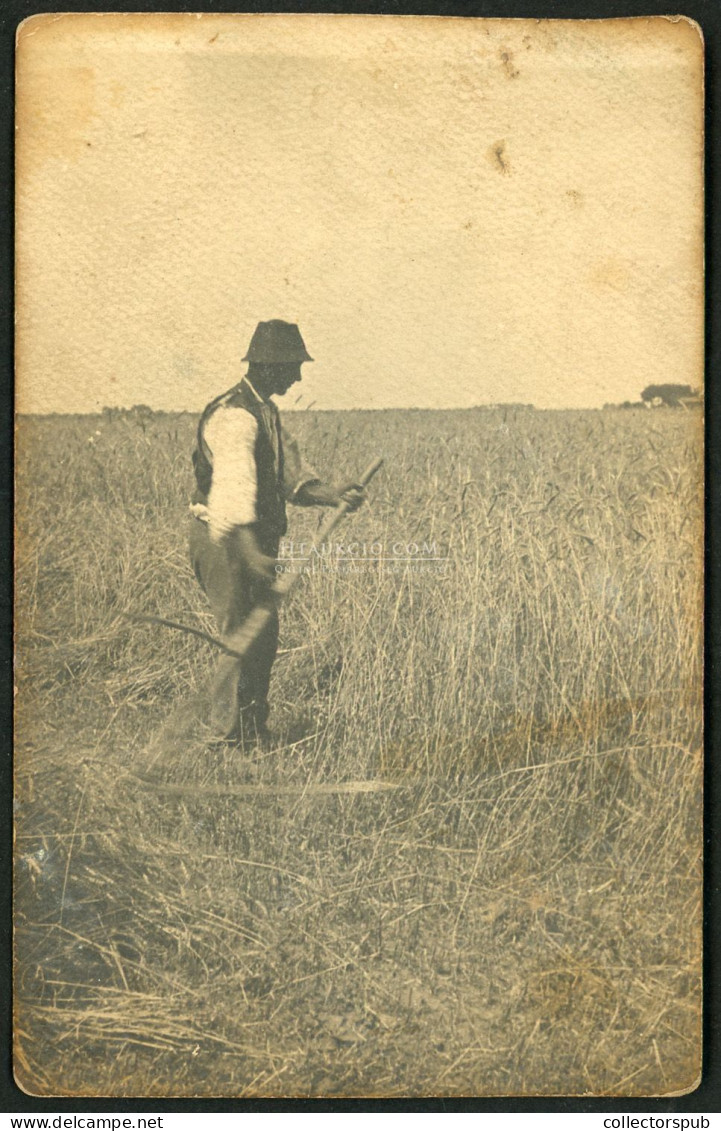 Mezőgazdaság, 4db Jó Reál Fotós Képeslap Ca. 1910 - Ungarn