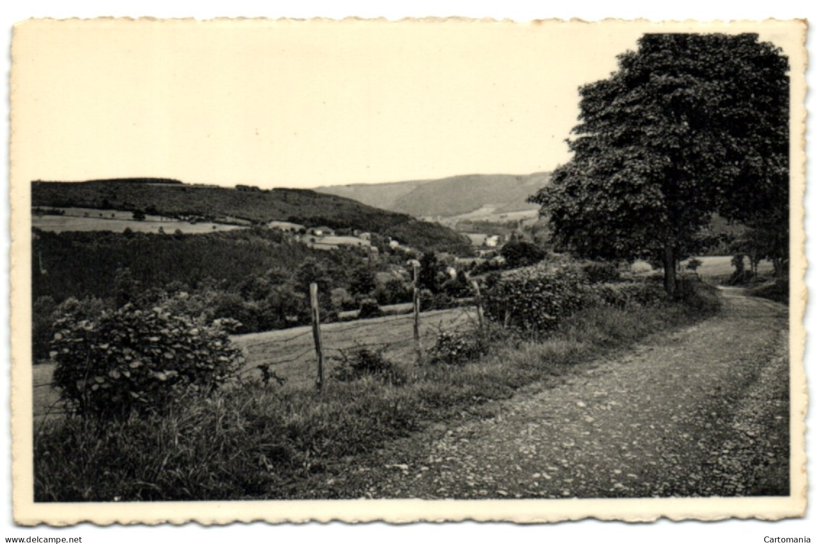 Trois-Ponts - Paysage - Trois-Ponts