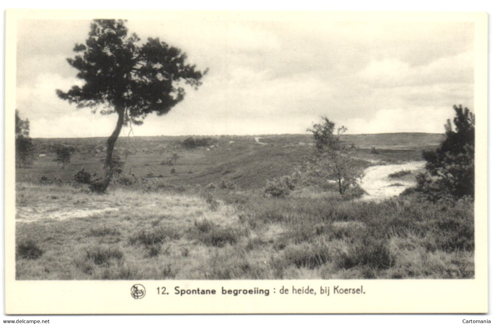 Koersel - De Heide - Beringen