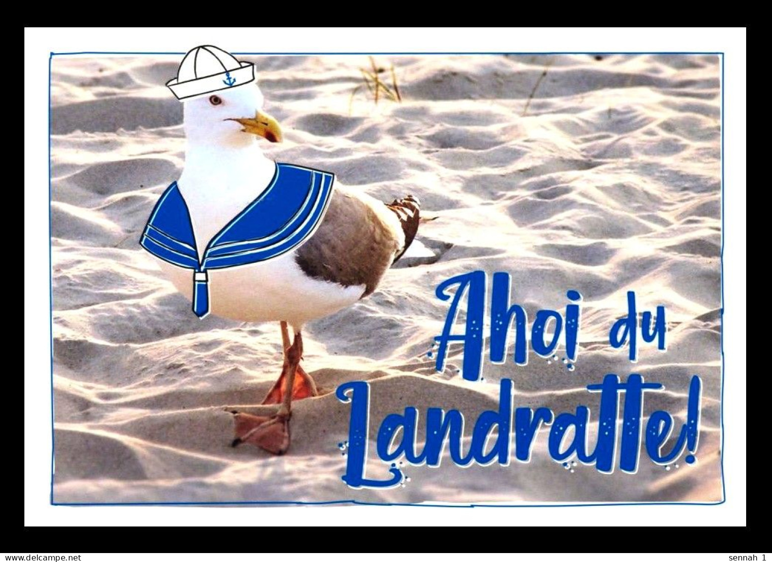 Bund / Germany: Ansichtskarte [AK] 'Möwe – Ahoi Du Landratte' / Postcard 'Gull – Ahoy Land Lubber' Gebraucht / Used - Ribnitz-Damgarten