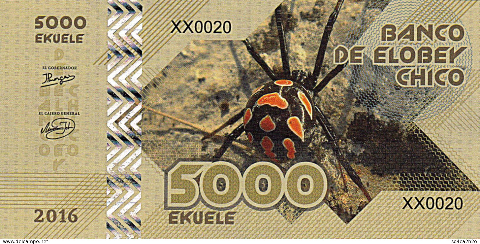 Elobey Chico 5 000 EKUELE 2016 SPIDER Tarantula  UNC - Specimen