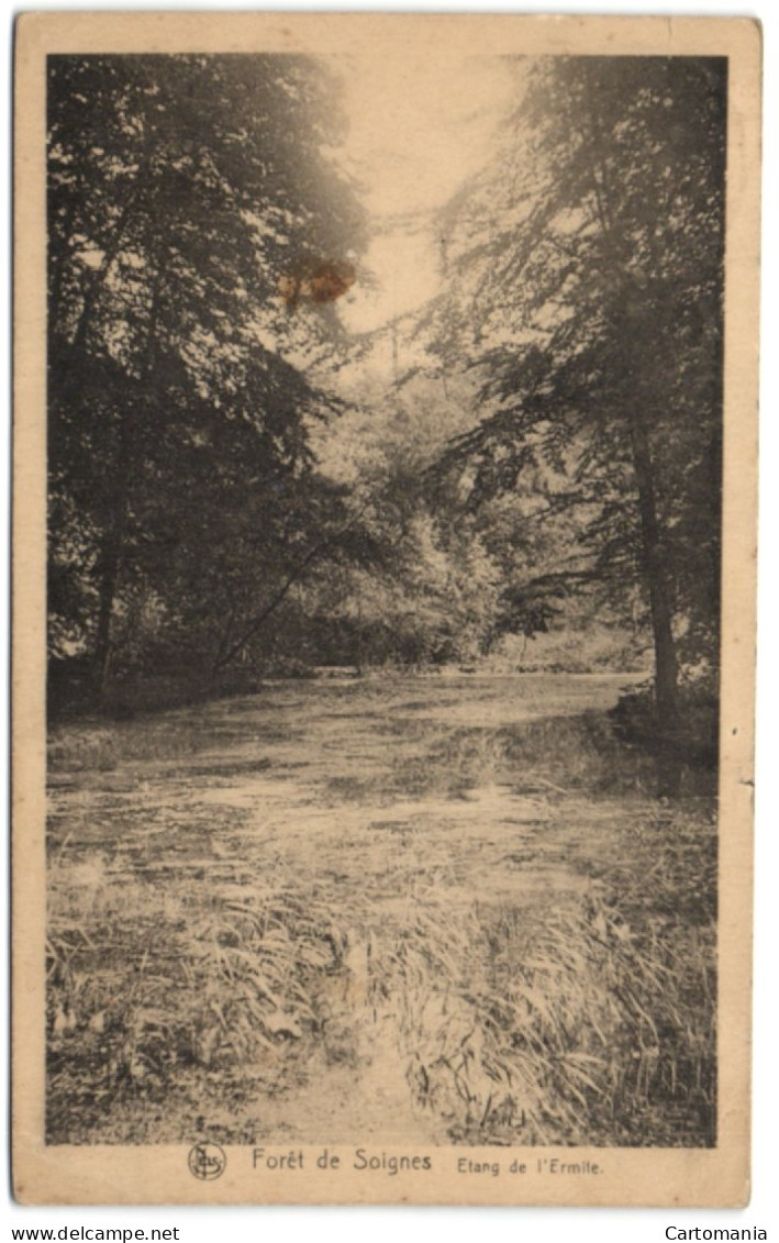 Forêt De Soignes - Etang De L'Ermite - Auderghem - Oudergem