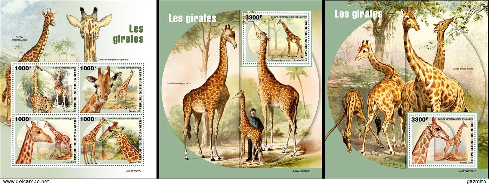 Niger 2022, Animals, Giraffe I, 4val In BF+2BF - Girafes