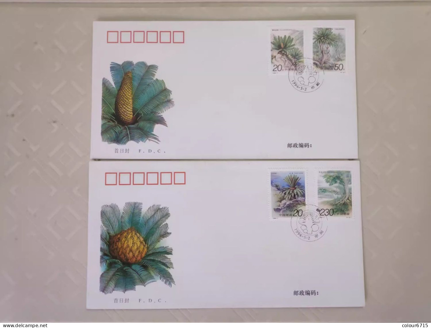 China FDC/1996-7 Cycads 2v MNH - 1990-1999