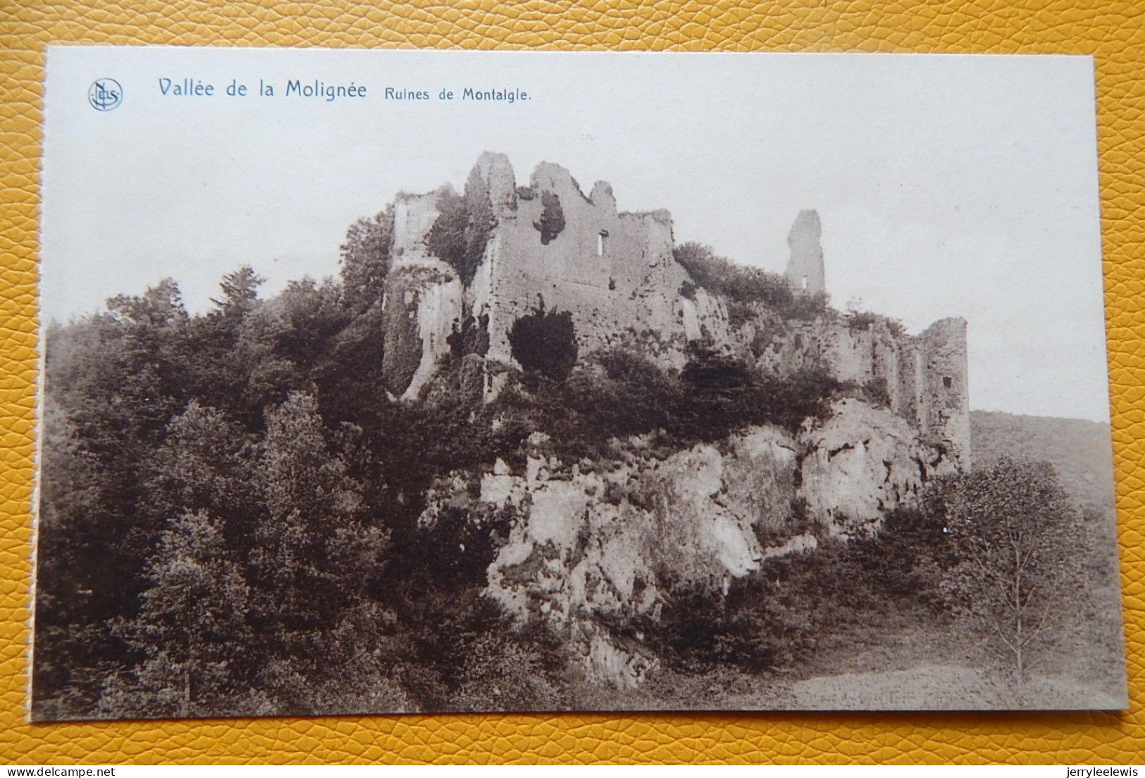 FALAËN  -   Ruines De Montaigle -  Vallée De La Molignée - - Onhaye