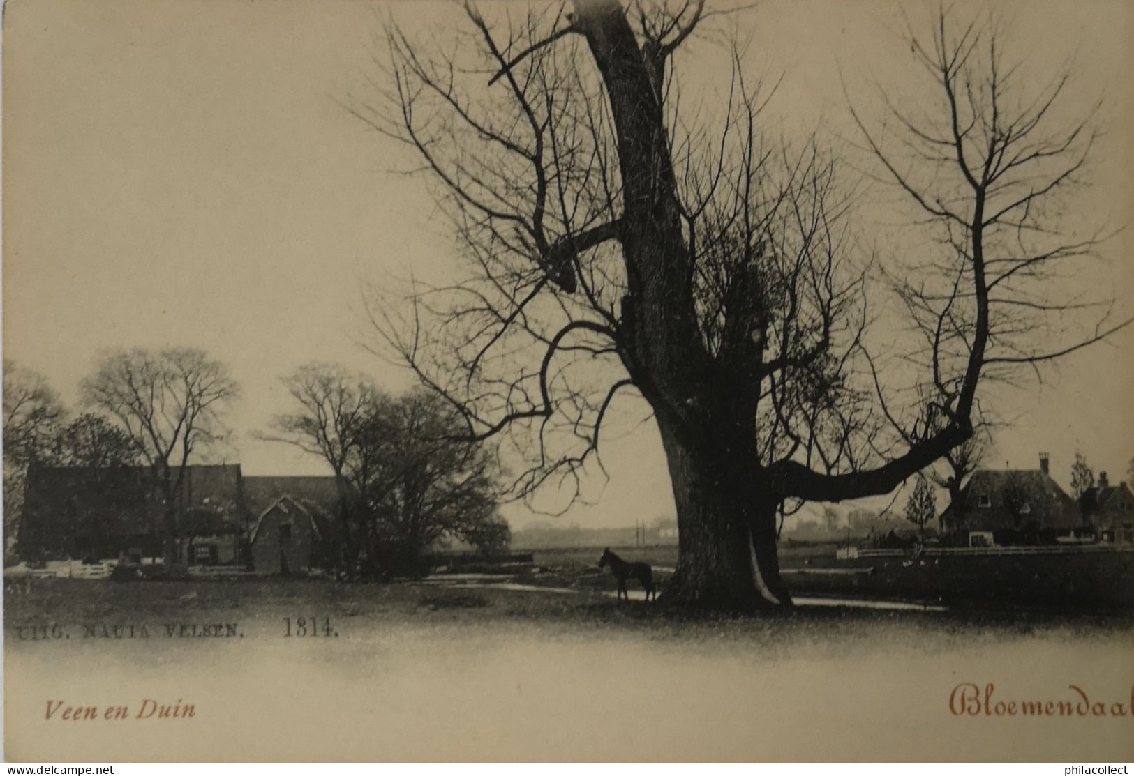 Bloemendaal // Veen En Duin Ca 1900 - Bloemendaal