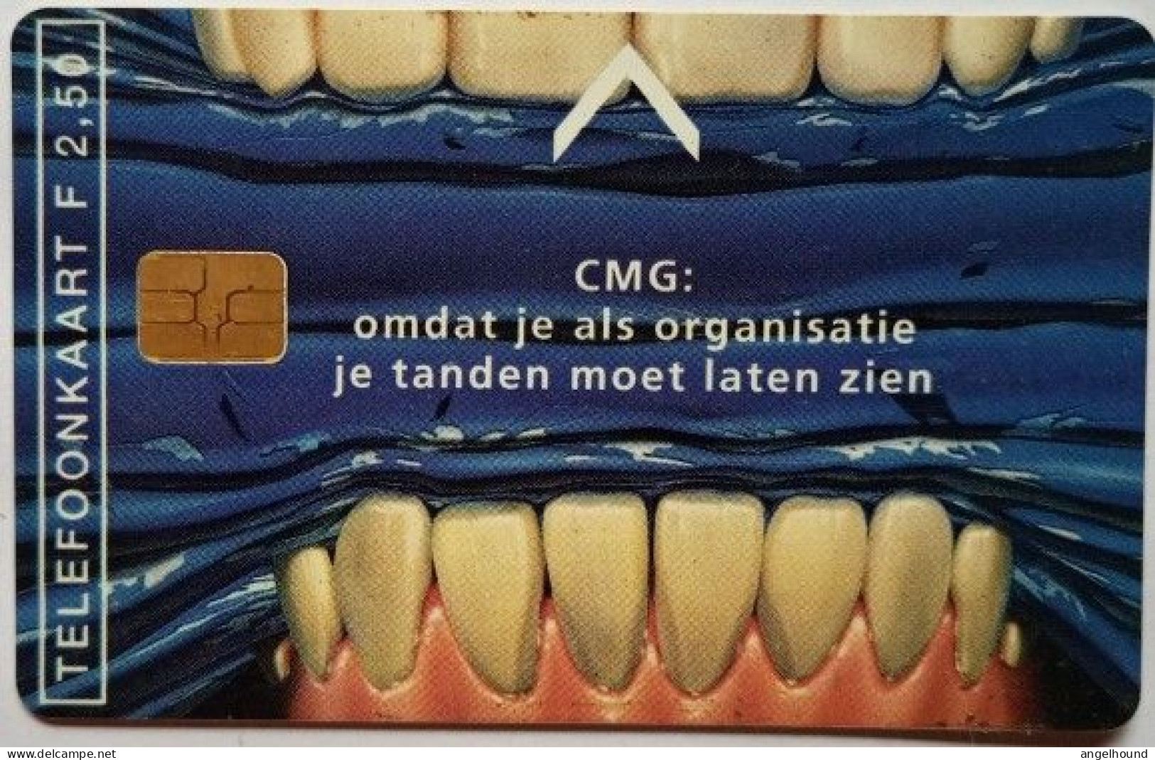 Netherlands F 2.50  MINT  - CMG  ( Computer Management Group ) - Privat