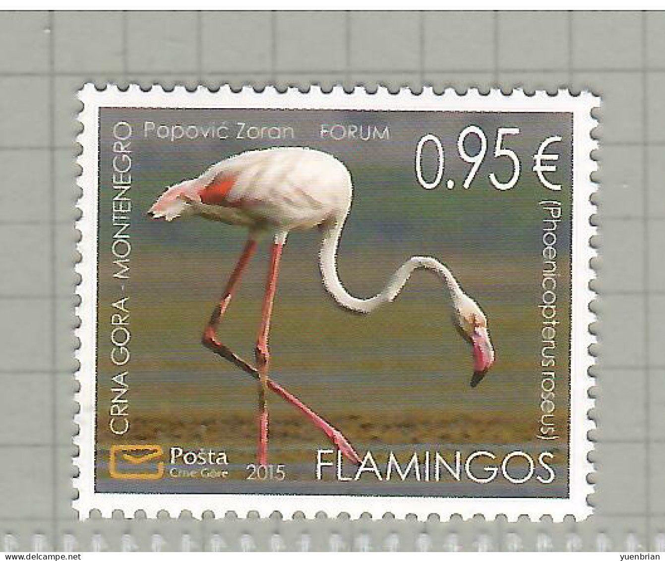 Montenegro 2015, Bird, Birds, Flamingo, 1v, MNH** - Flamants