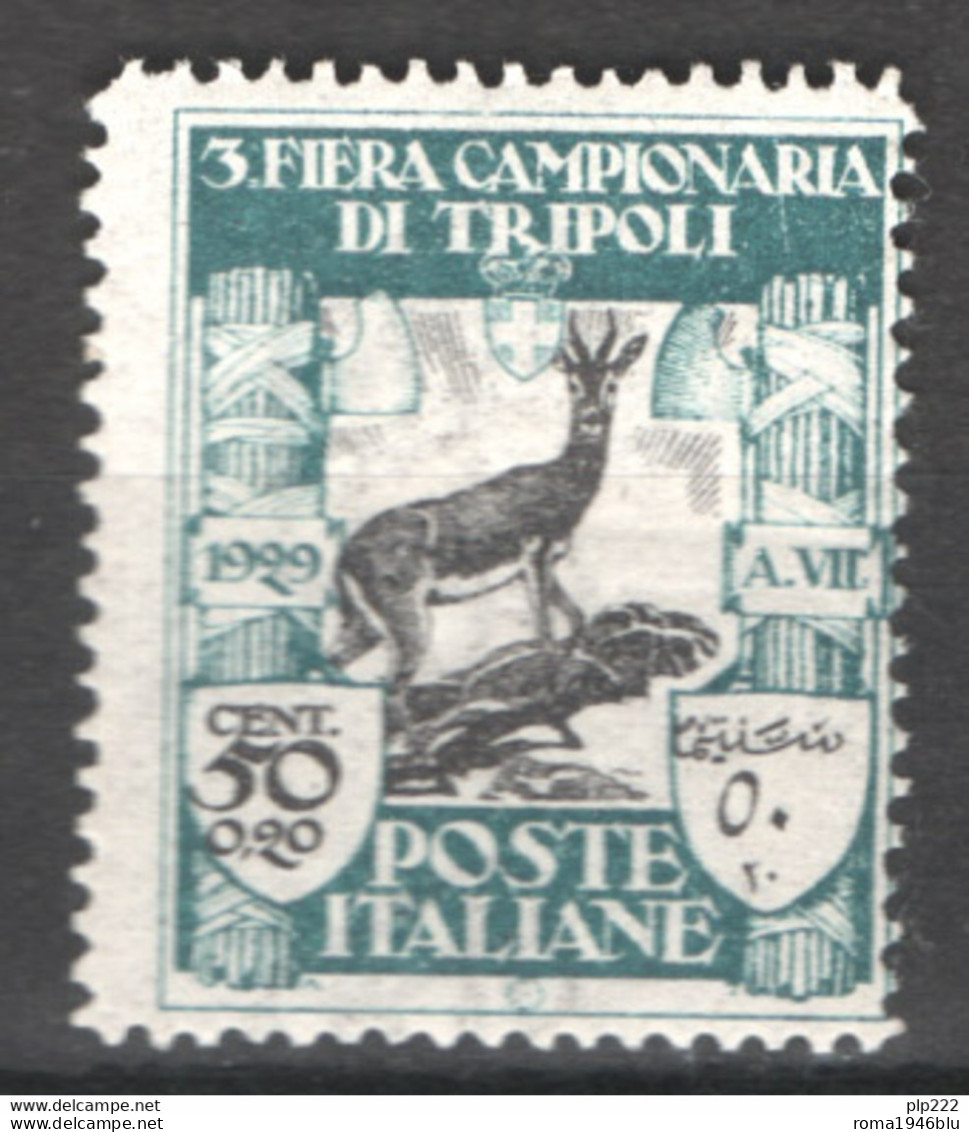 Libia 1929 Sass.82 */MH VF/F - Libya