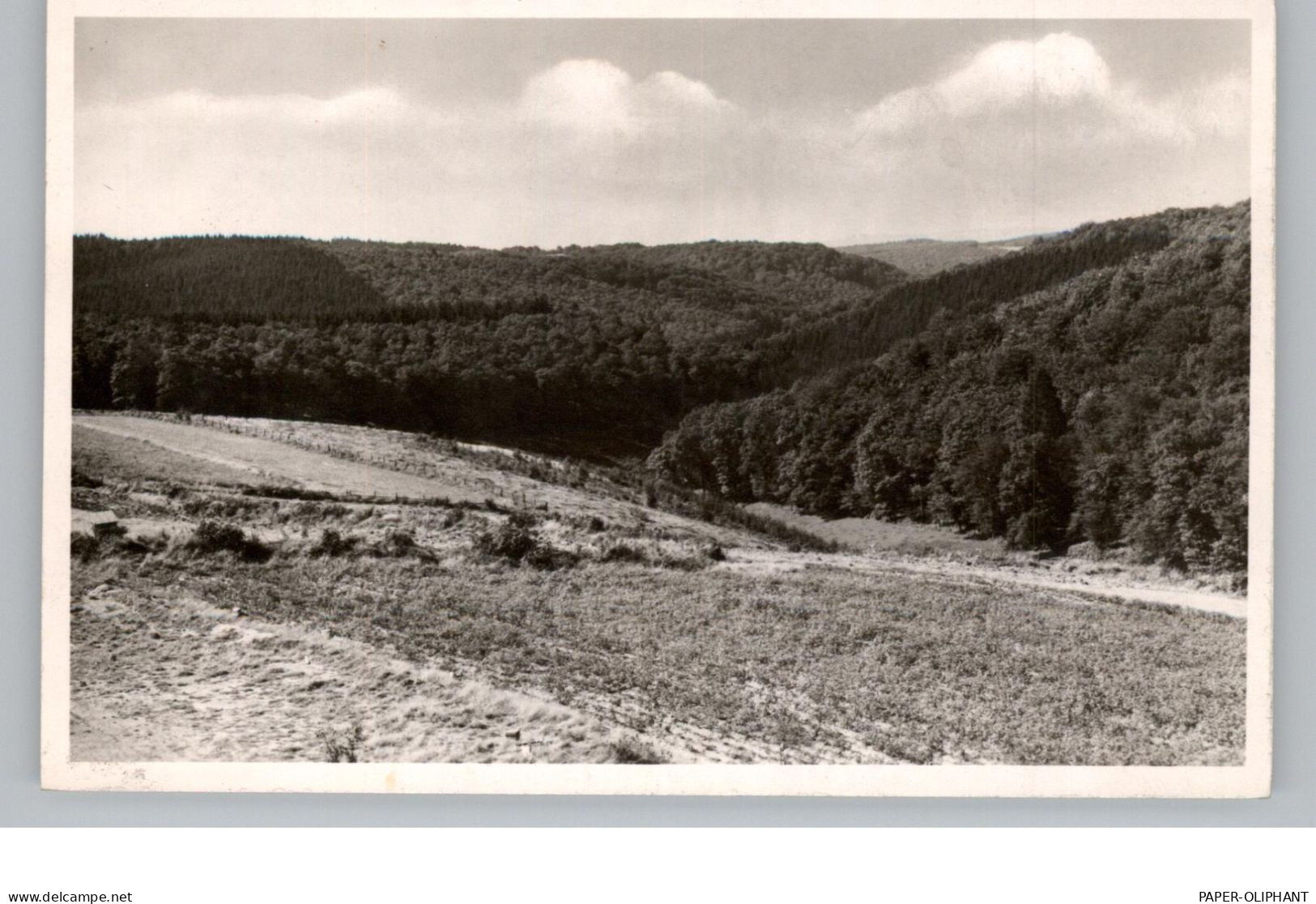 5248 WISSEN - KATZWINKEL - ELKHAUSEN, Blick Von Erholungsheim Haus Marienberge - Altenkirchen