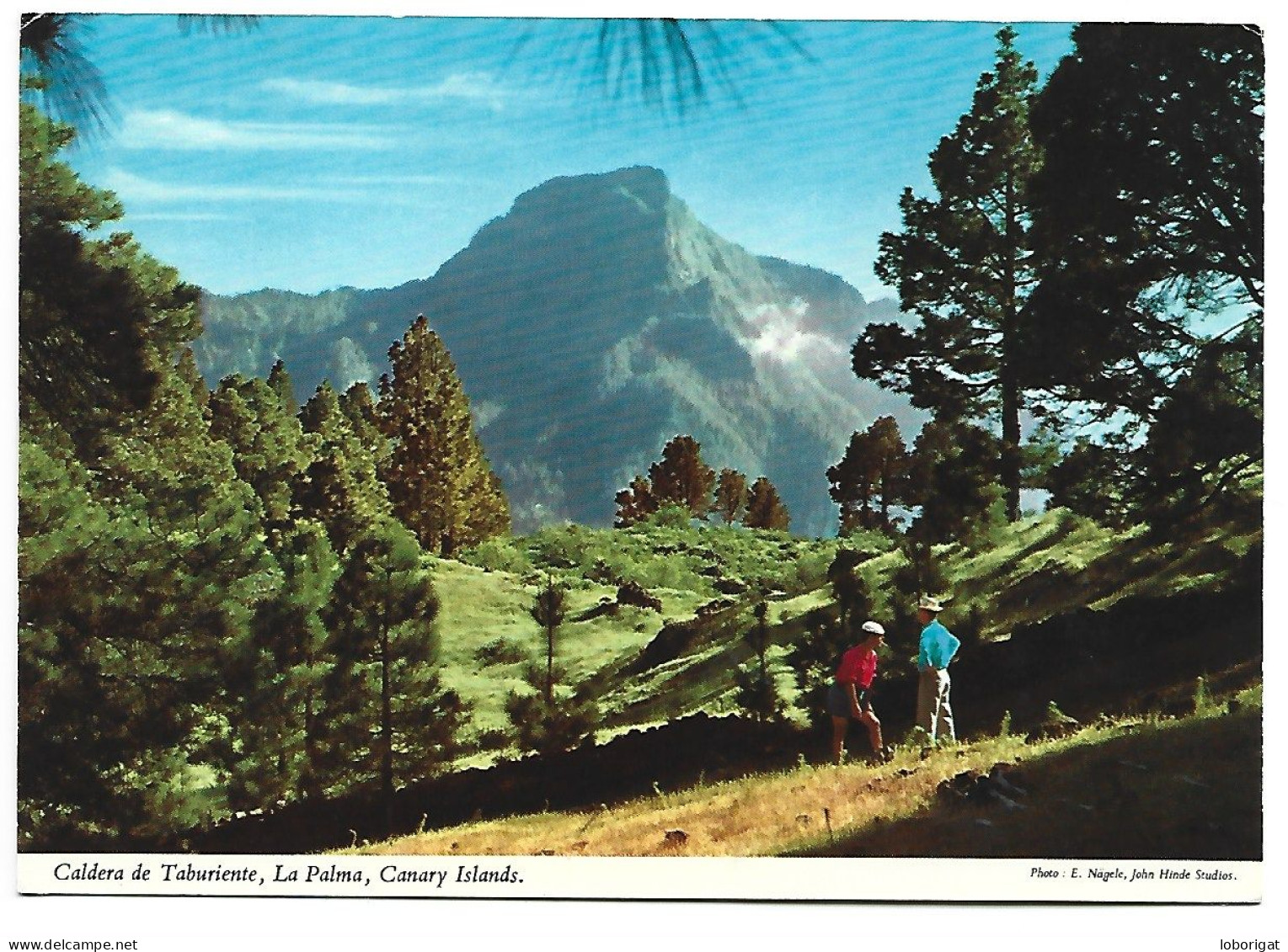 CALDERA DE TABURIENTE / PARQUE NACIONAL.- SAN MIGUEL DE LA PALMA.- (CANARIAS) - La Palma