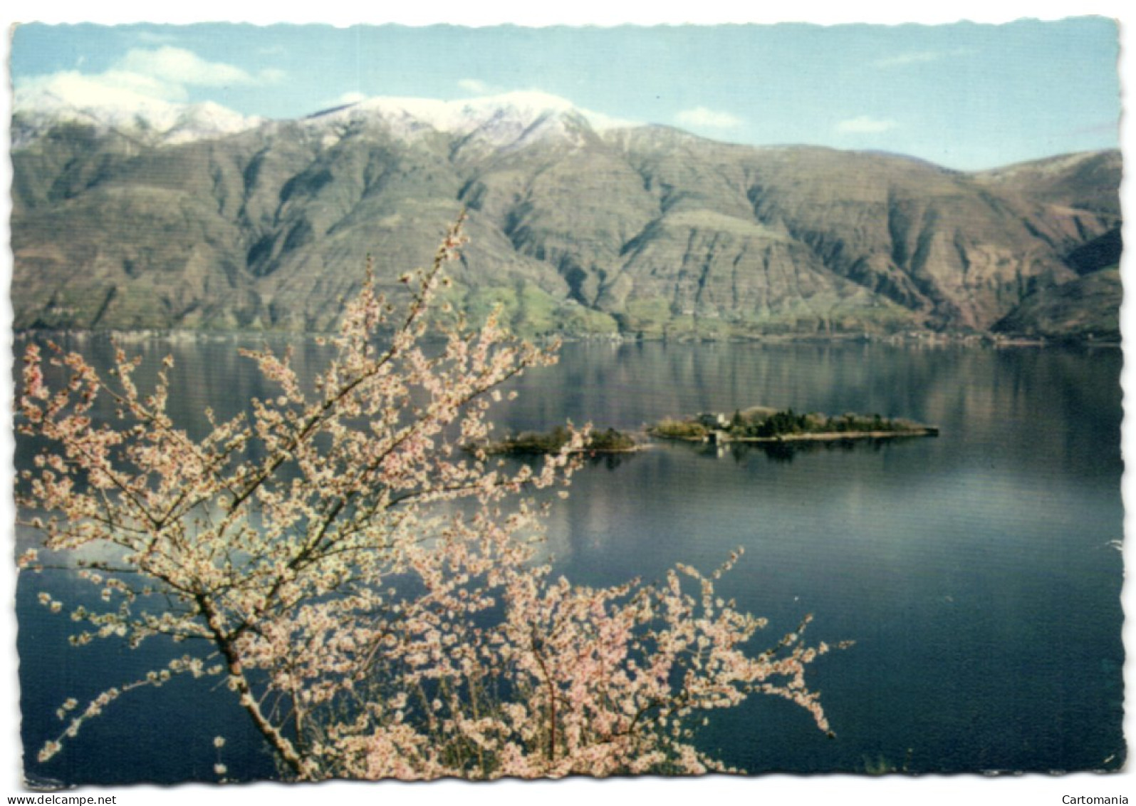 Isole Di Brissago - Parco Botanico DelCt. Ticino - Brissago