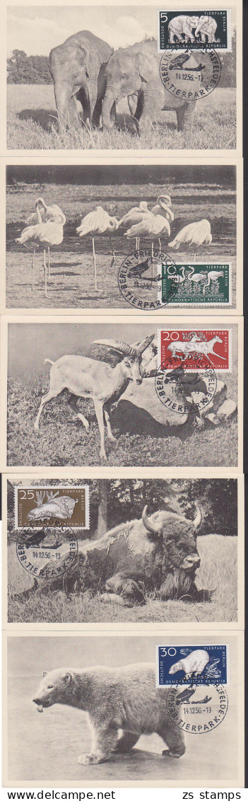 MC DDR 551/56 Maximumkarten Berlin Tierpark, Nashorn, Eisbär, Pelikan, Elefant, Wiesent, SoSt. Berlin 14.12.56 - Cartes-Maximum (CM)