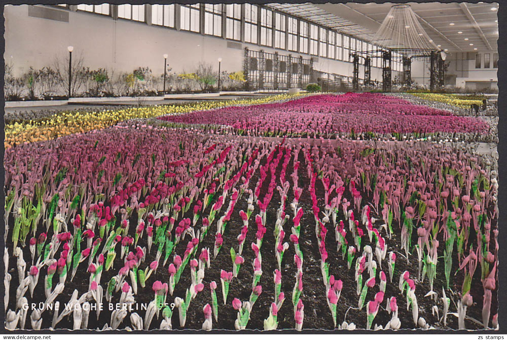 Berlin-Charlottenburg SoSt. Grüne Woche 8.2.59 Auf Ak Mit Tulpen - Frankeermachines (EMA)