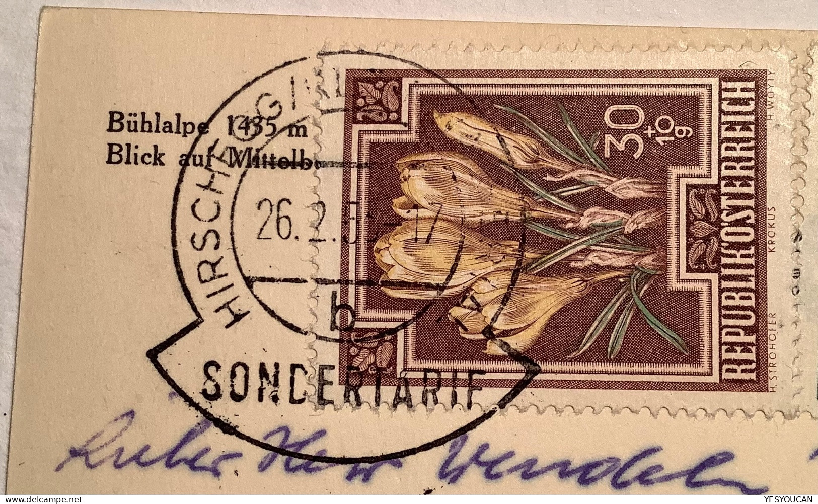 HIRSCHEGG KLEINWALSERTAL SONDERTARIF1953 Portogerecht ! Blumen Ak>BRD (BUND Österreich Flowers Fleur Inclave Austria - Lettres & Documents