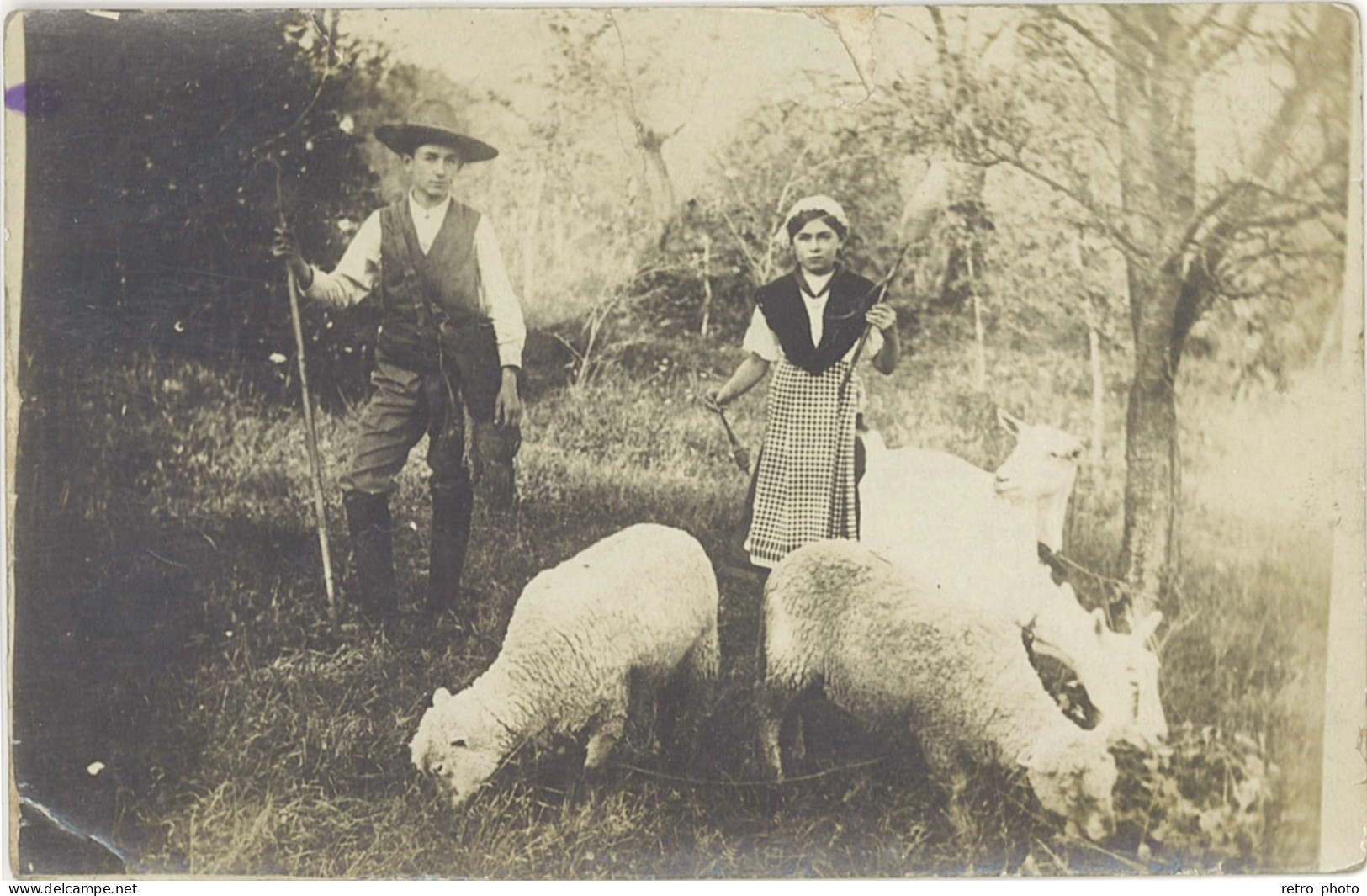 LD Agriculture – Carte-photo Berger/bergère Avec Moutons - Veeteelt