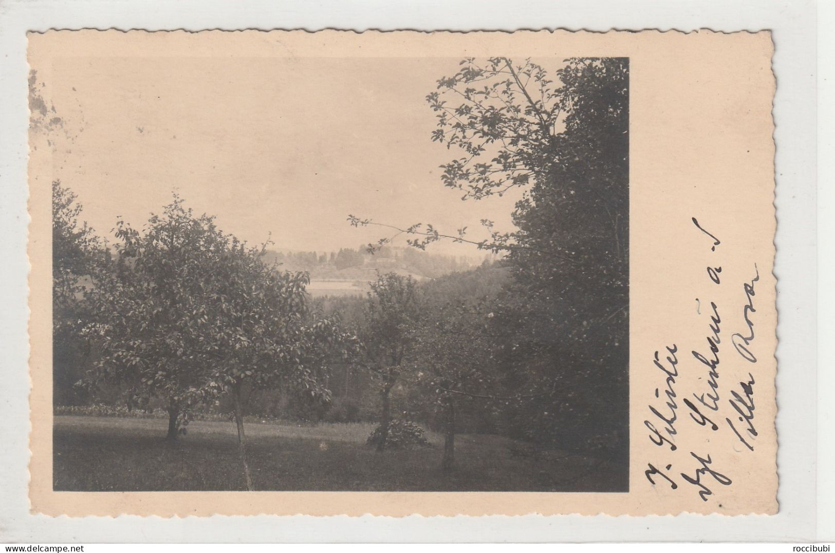 Steinhaus Am Semmering, Fotokarte, Streuobstwiese - Semmering