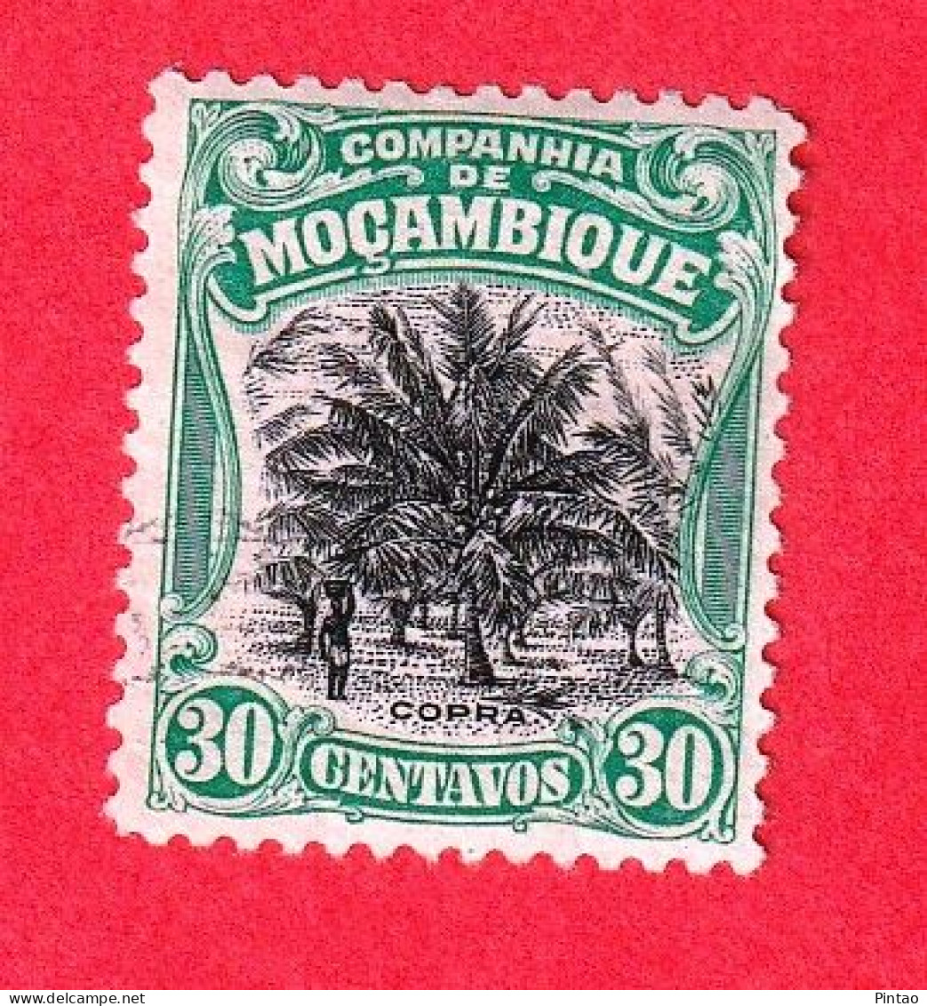 CMÇ487- COMPANHIA De MOÇAMBIQUE 1925 Nº 156- USD - Sonstige & Ohne Zuordnung